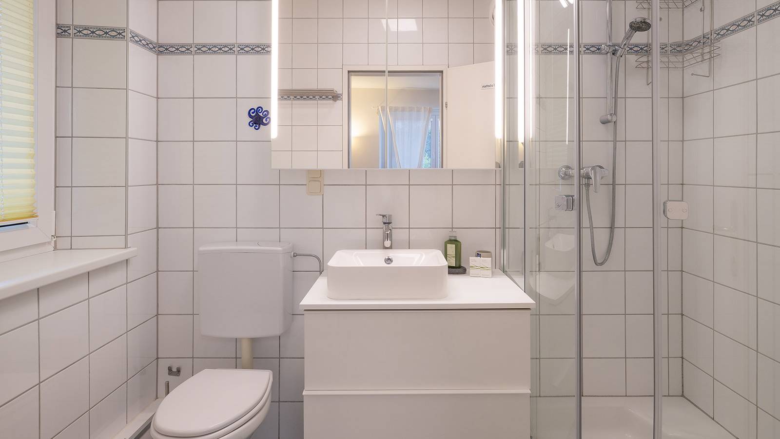 Badezimmer mit Dusche und WC