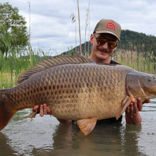Fischer am Klopeiner See hält den geangelten Fisch in den Händen.